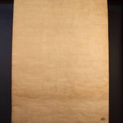 Educational poster, botanical chart of CAMPANULACEAE