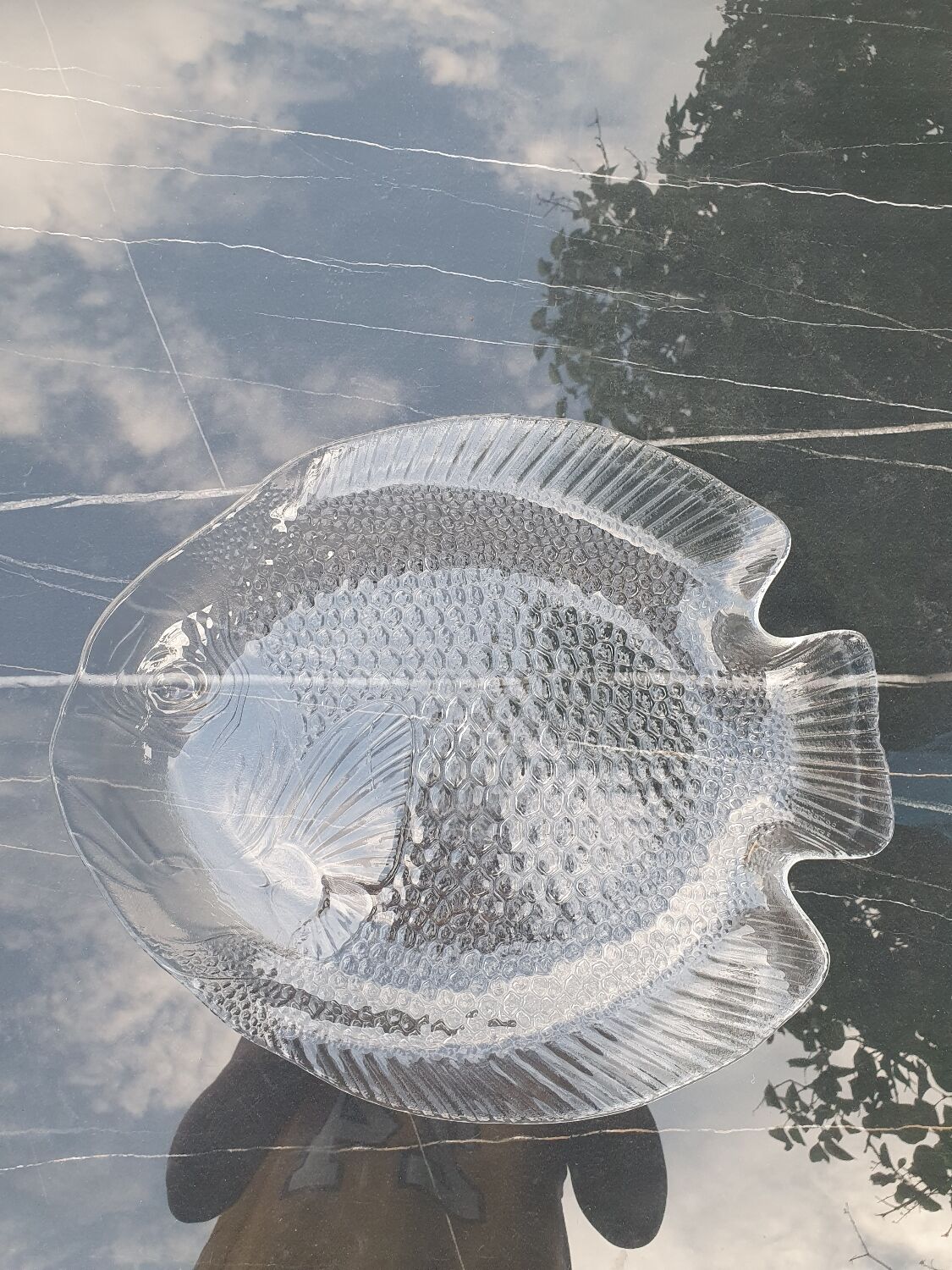 Fish dish Arcoroc