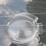 Fish dish Arcoroc