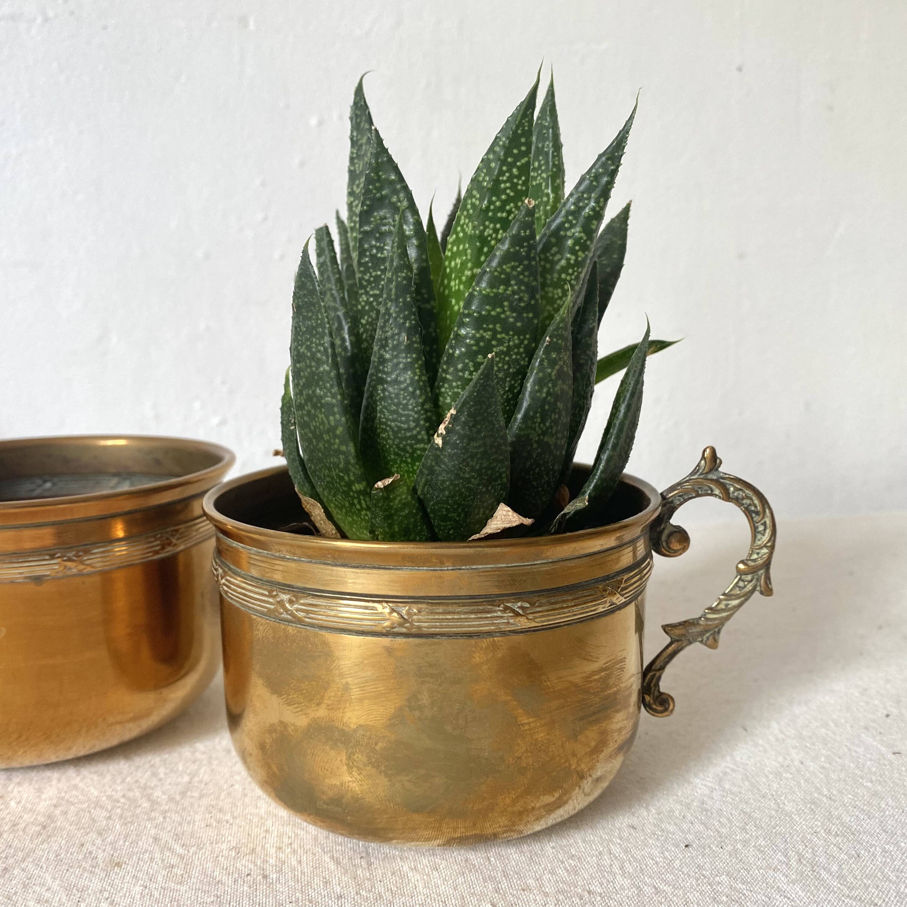 Antique brass cups