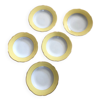 Set of 5 hollow yellow gold white plates KG Luneville model Jonquille