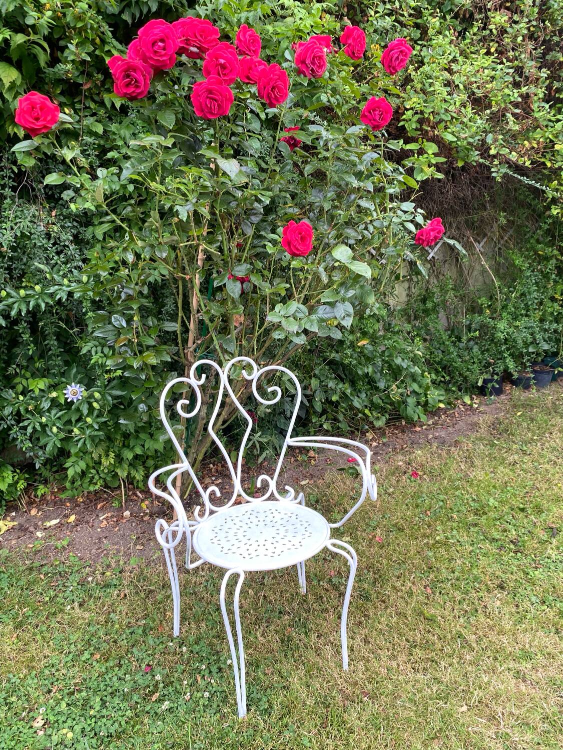 Old wrought iron garden furniture from the 1950s