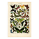 Old engraving from 1923 - Butterflies of the world by A. Millot - Illustration