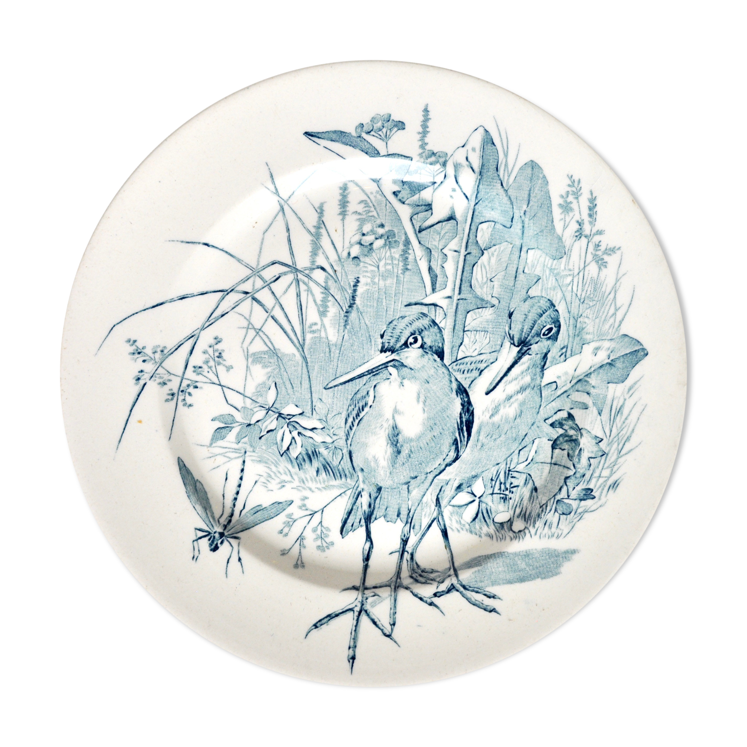 Bird plate in faïence