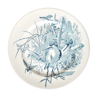 Bird plate in faïence