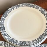 Plates Salins blue earth of iron