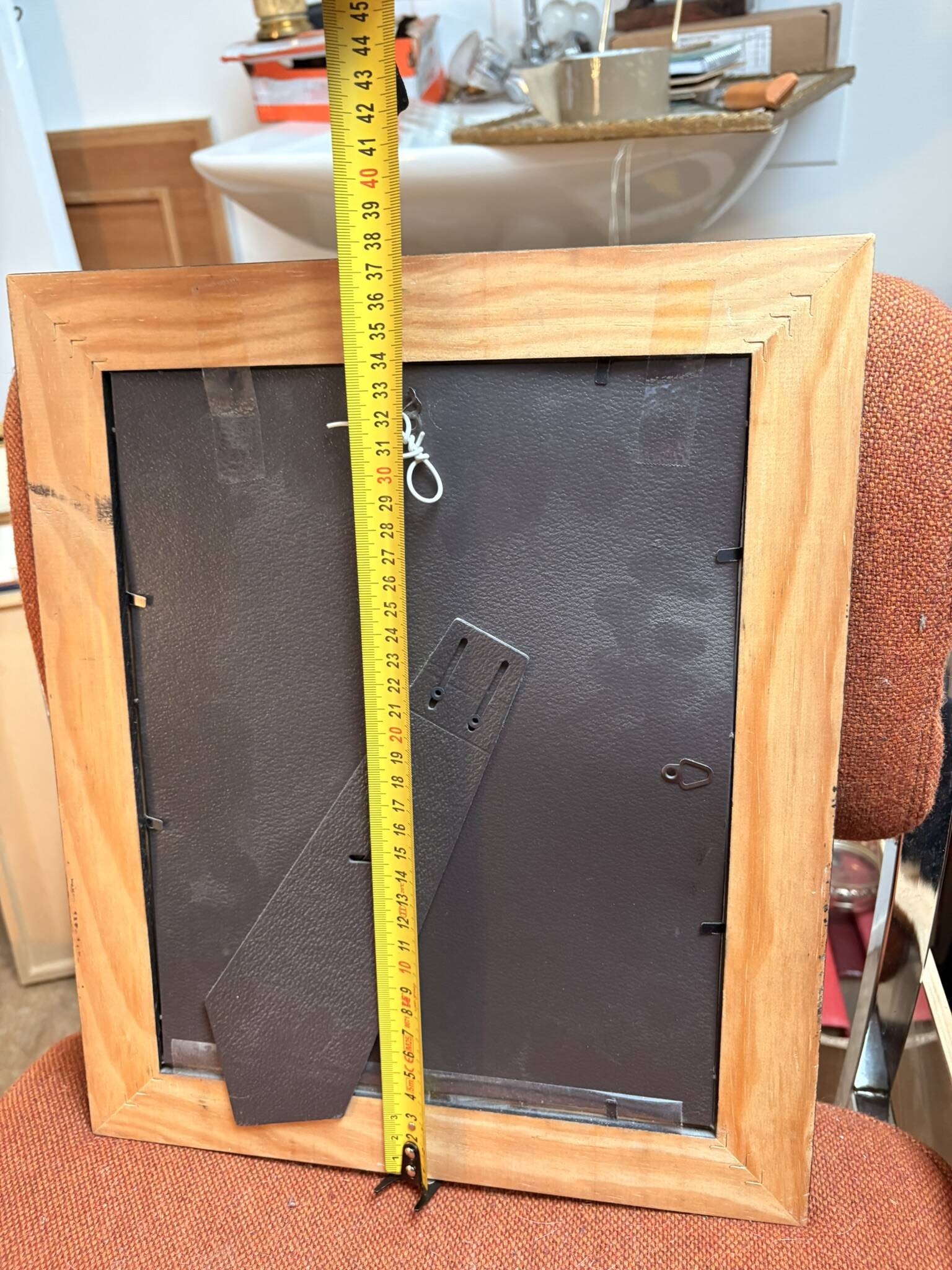 Old Print Engraving by Friderici Arnoldi Icones of the Nerves of the Head