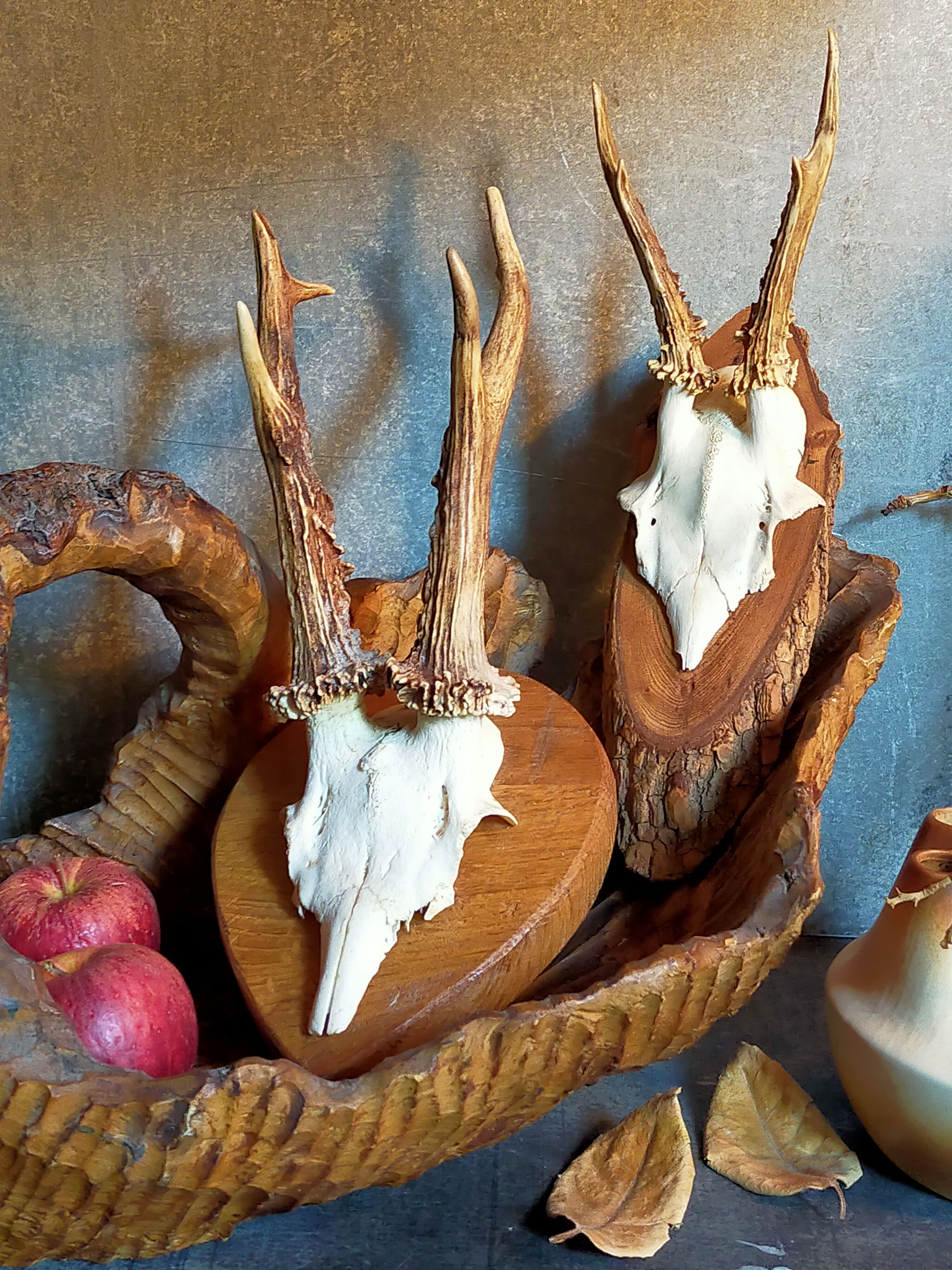 Duo of vintage hunting trophies Art-populaire 50s
