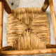 Old mulched stool