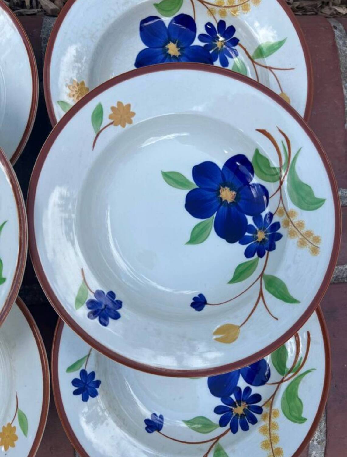 Gien - 6 Tournefeuille soup plates