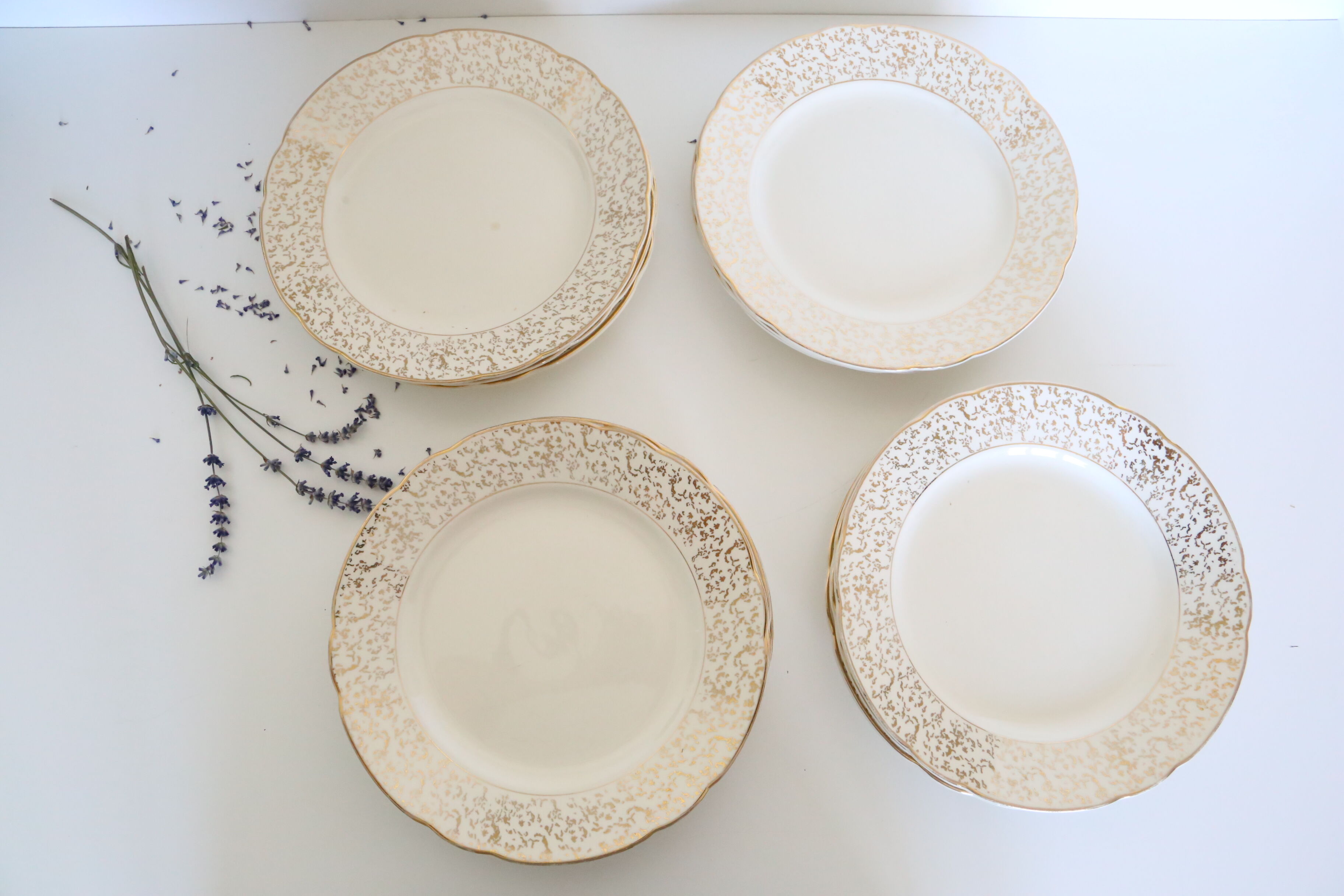 Villeroy and Boch flat plate service, batch of 12 plates, vintage, ceramic, white, gold, parties, vintage, chic