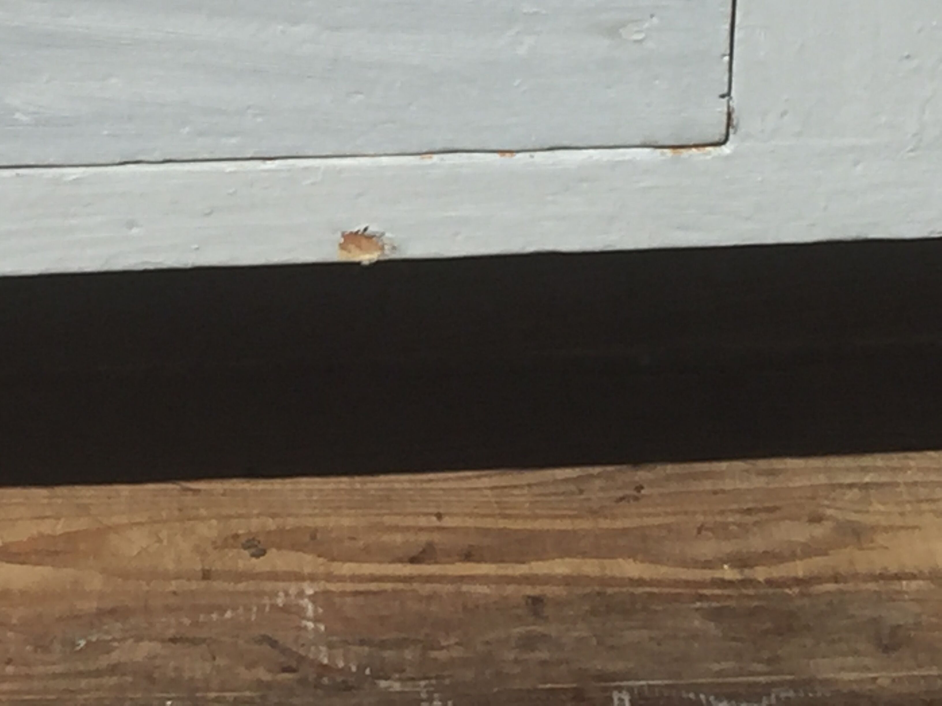Parisian haberdashery counter