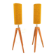Pair of modern design teak wood lamps 1960
