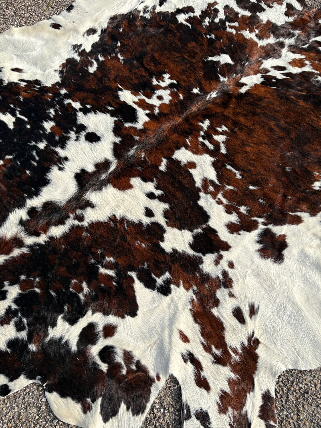 Tapis de vache