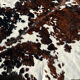 Tapis de vache