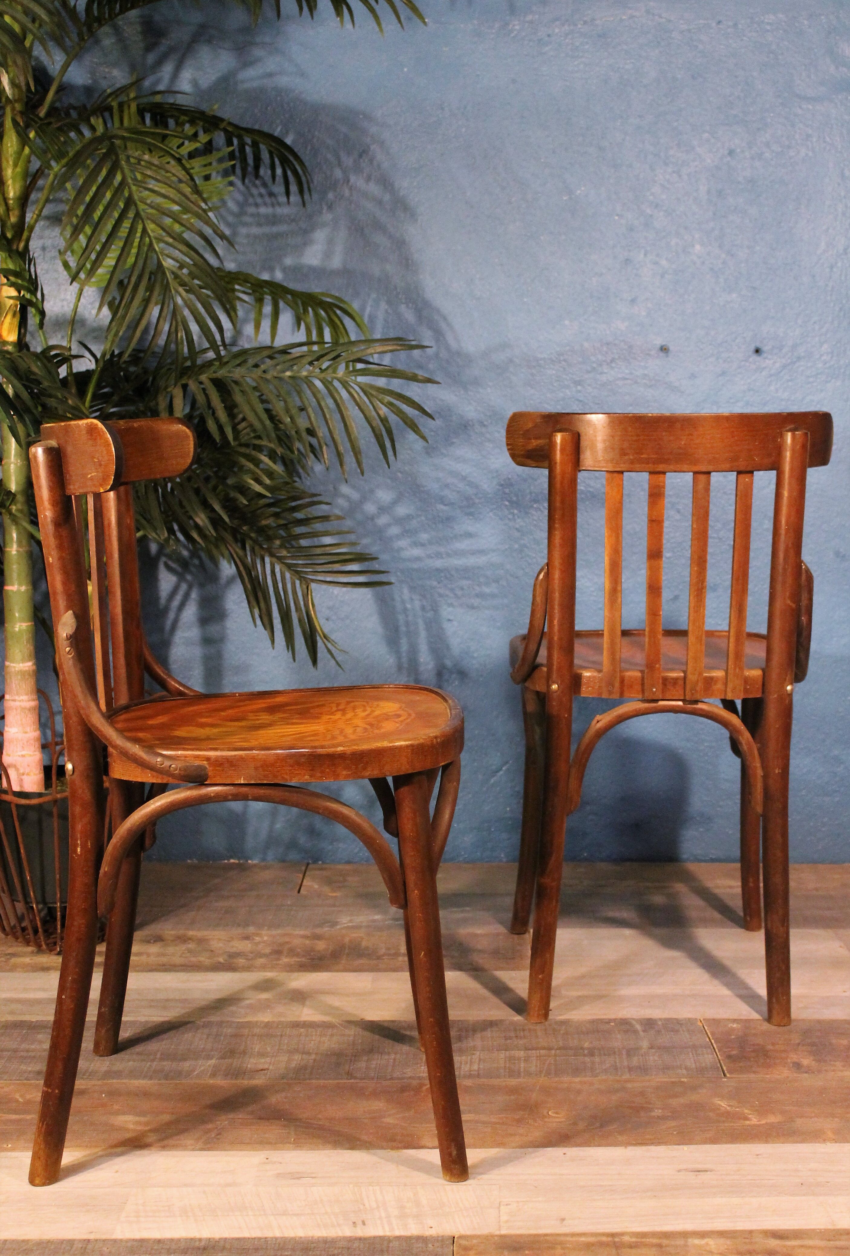 Fischel "Bistrot" chairs at the beginning of the 20th century