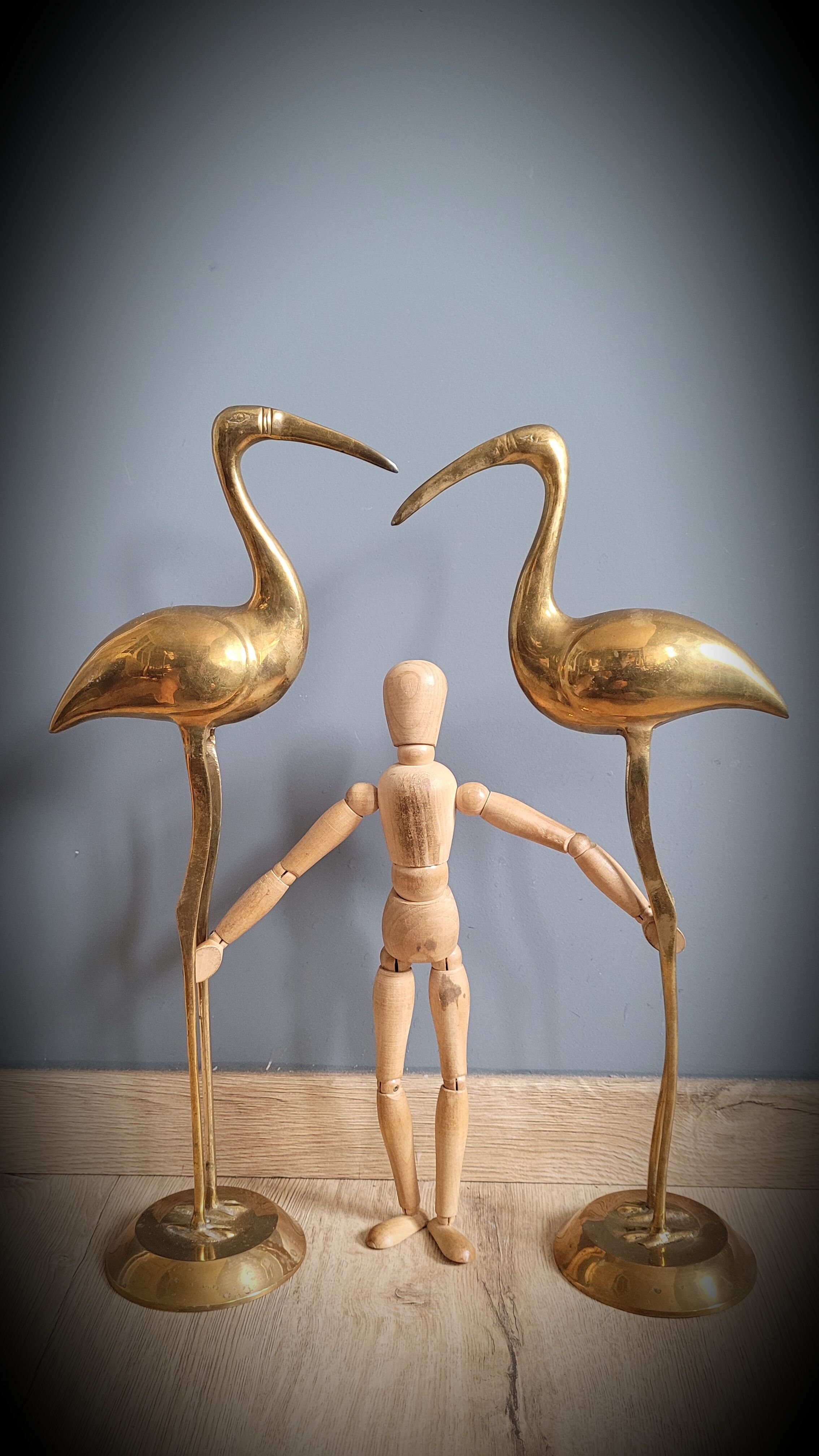 Duo great brass ibis