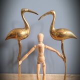 Duo great brass ibis