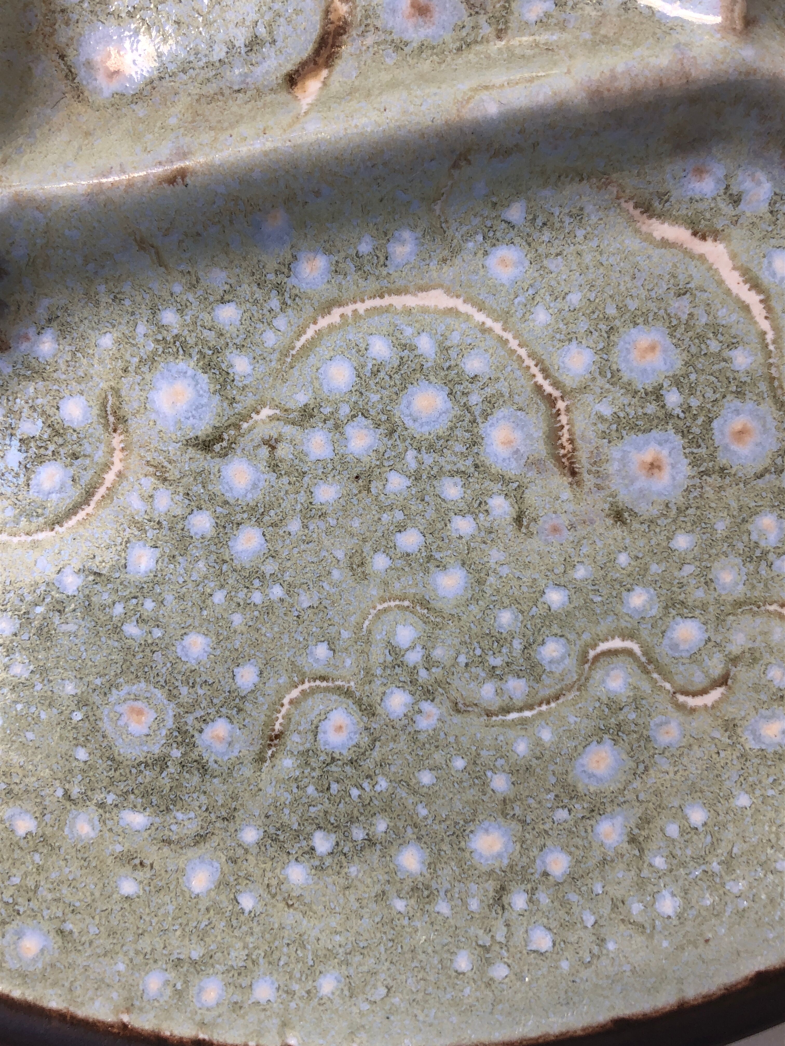 Set of 6 ceramic plates compartmentalized