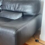 Roche Bobois sofa