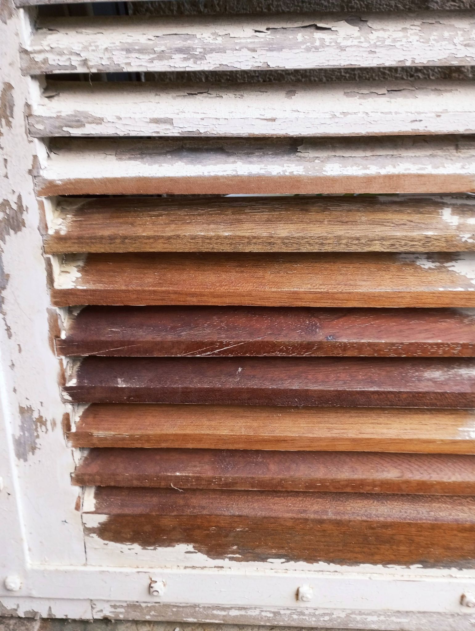 Pair of tropical wood shutters