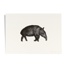 Fakir le tapir - Risographie (A4)