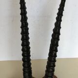 Gazelle horns on wooden support