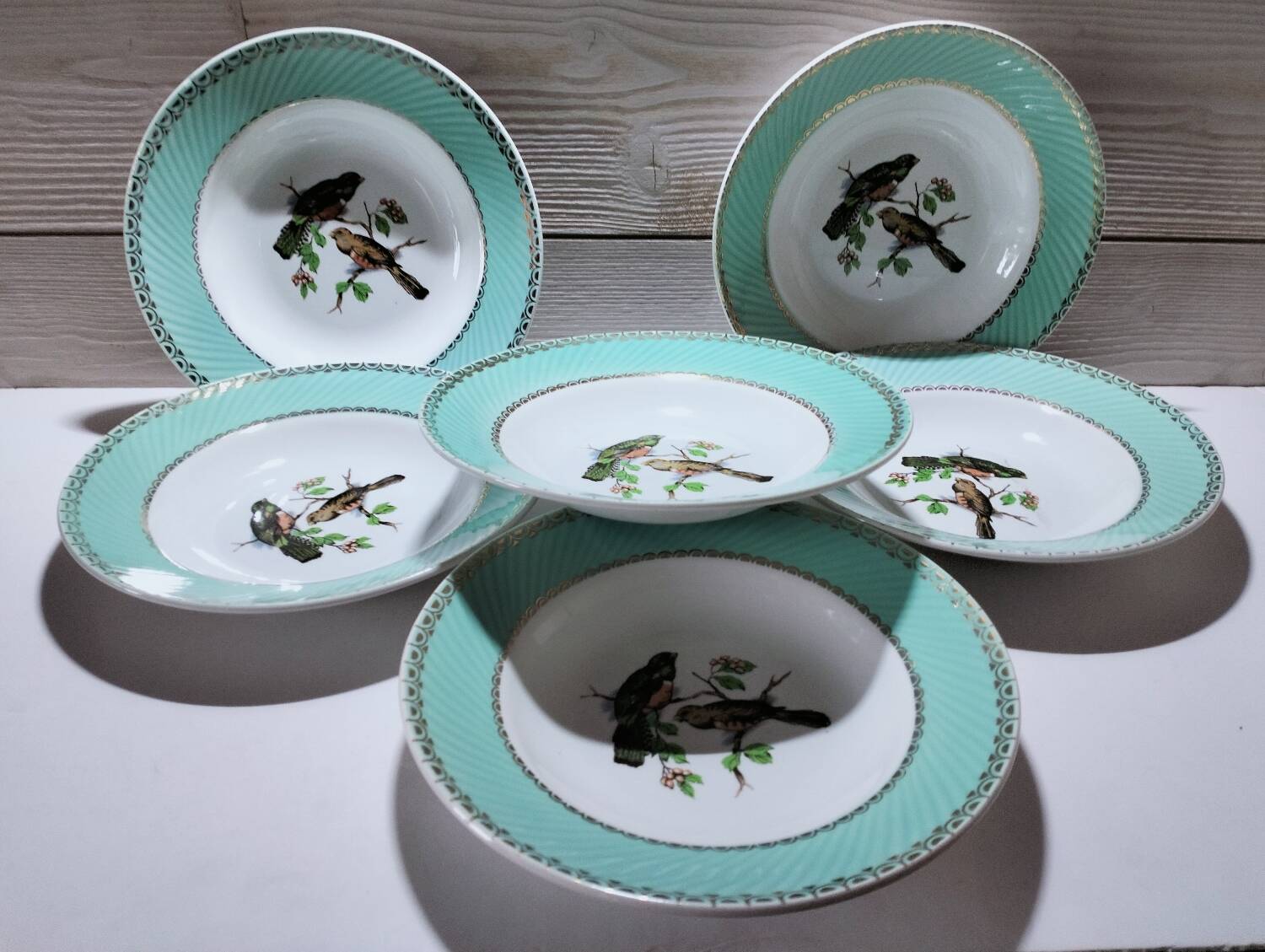 Lot de 6 assiettes oiseaux