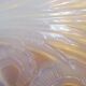 Dish opalescent Bird of paradise signed D'Avesn