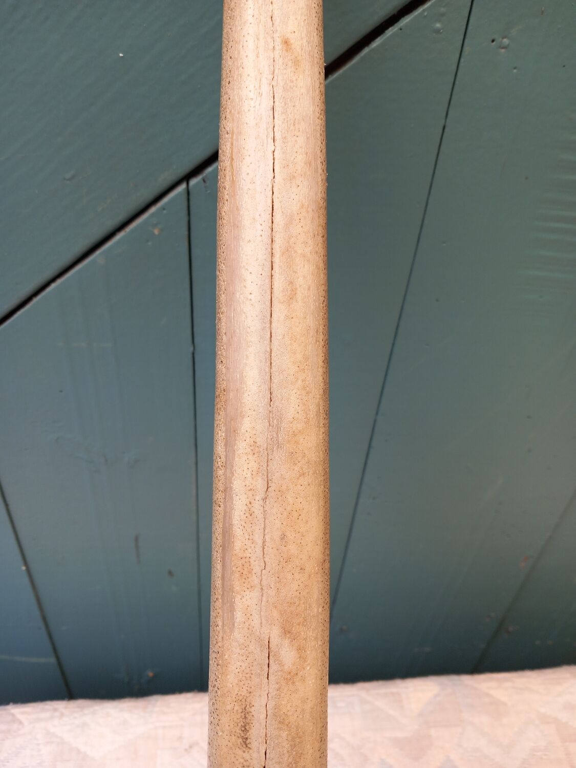 Rostrum marlin on Metal base sport fishing