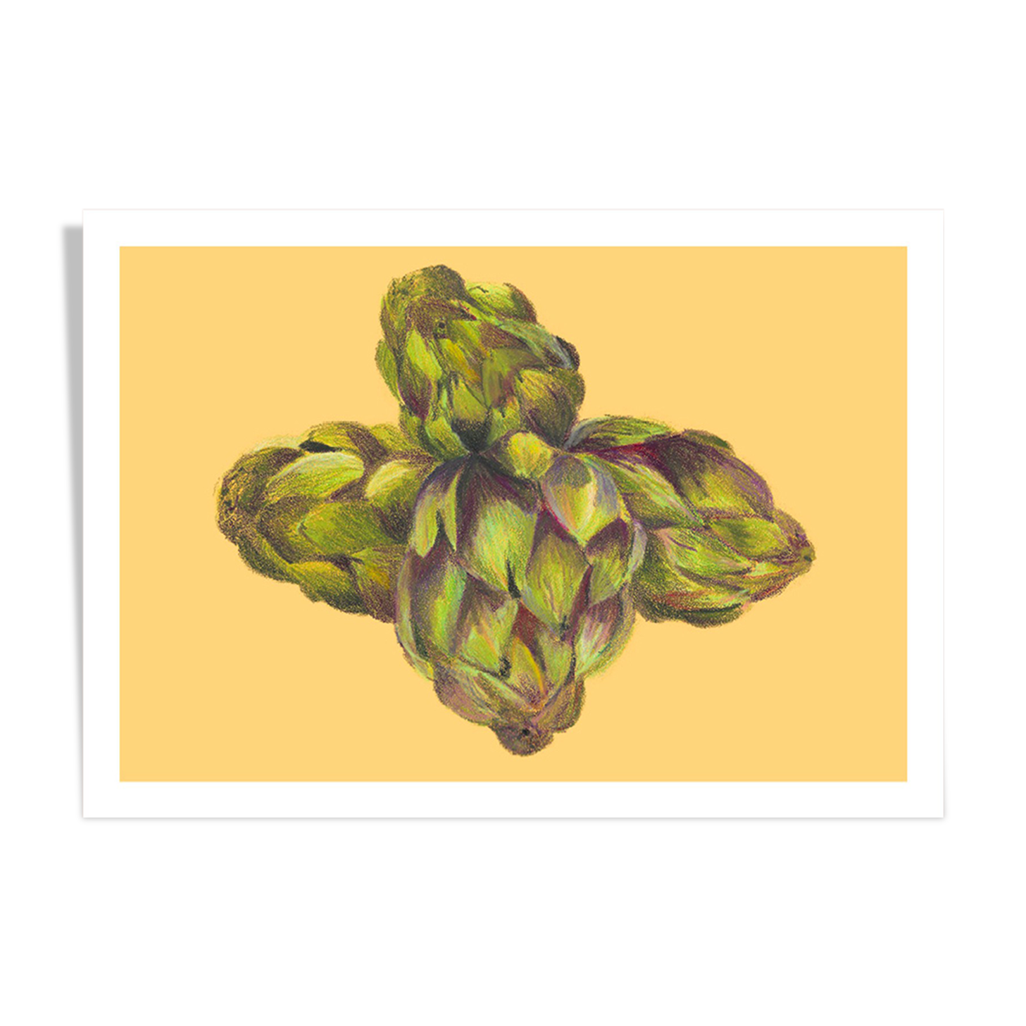 Still life - artichoke