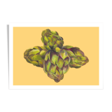 Nature morte artichaut