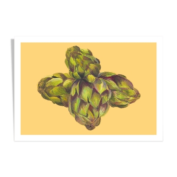 Still life - artichoke