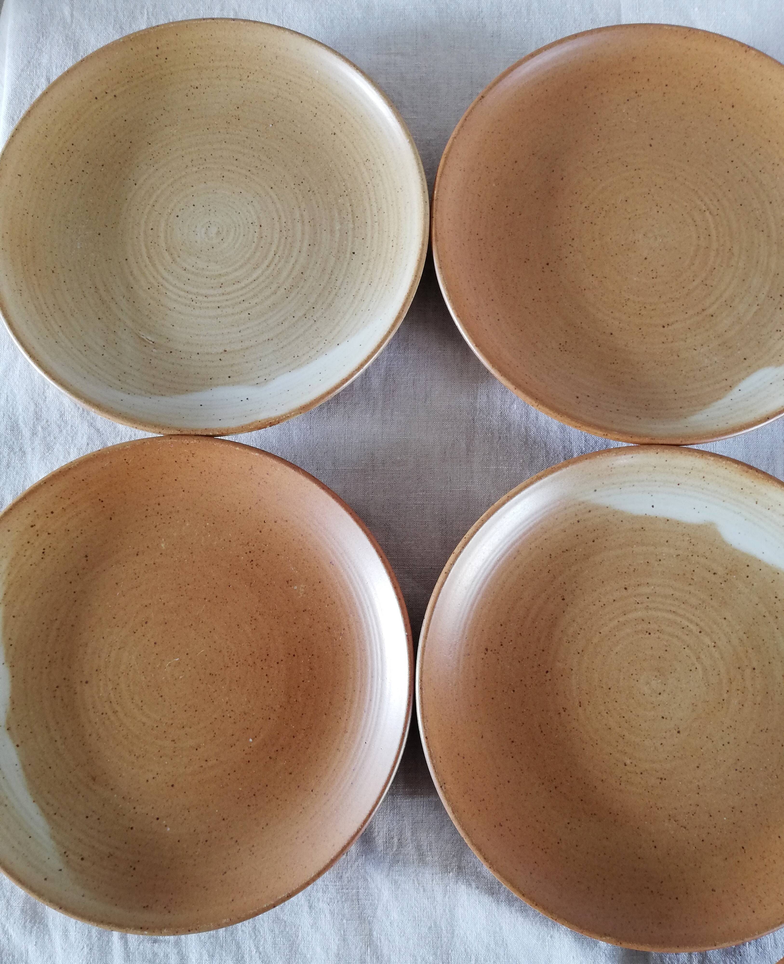 10 stoneware dessert plates Village CNP France