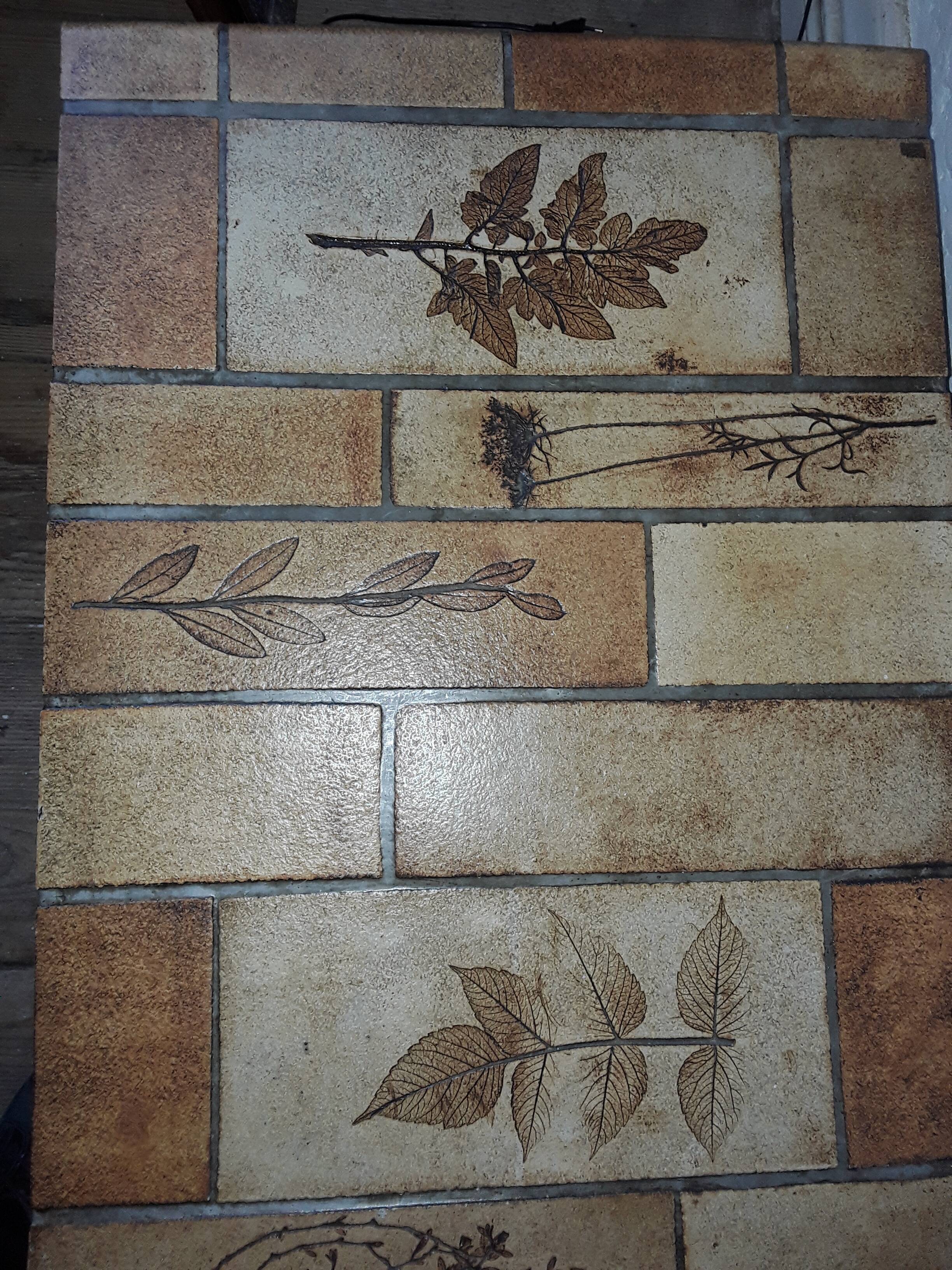 Coffee table Roger Capron model "herbarium"