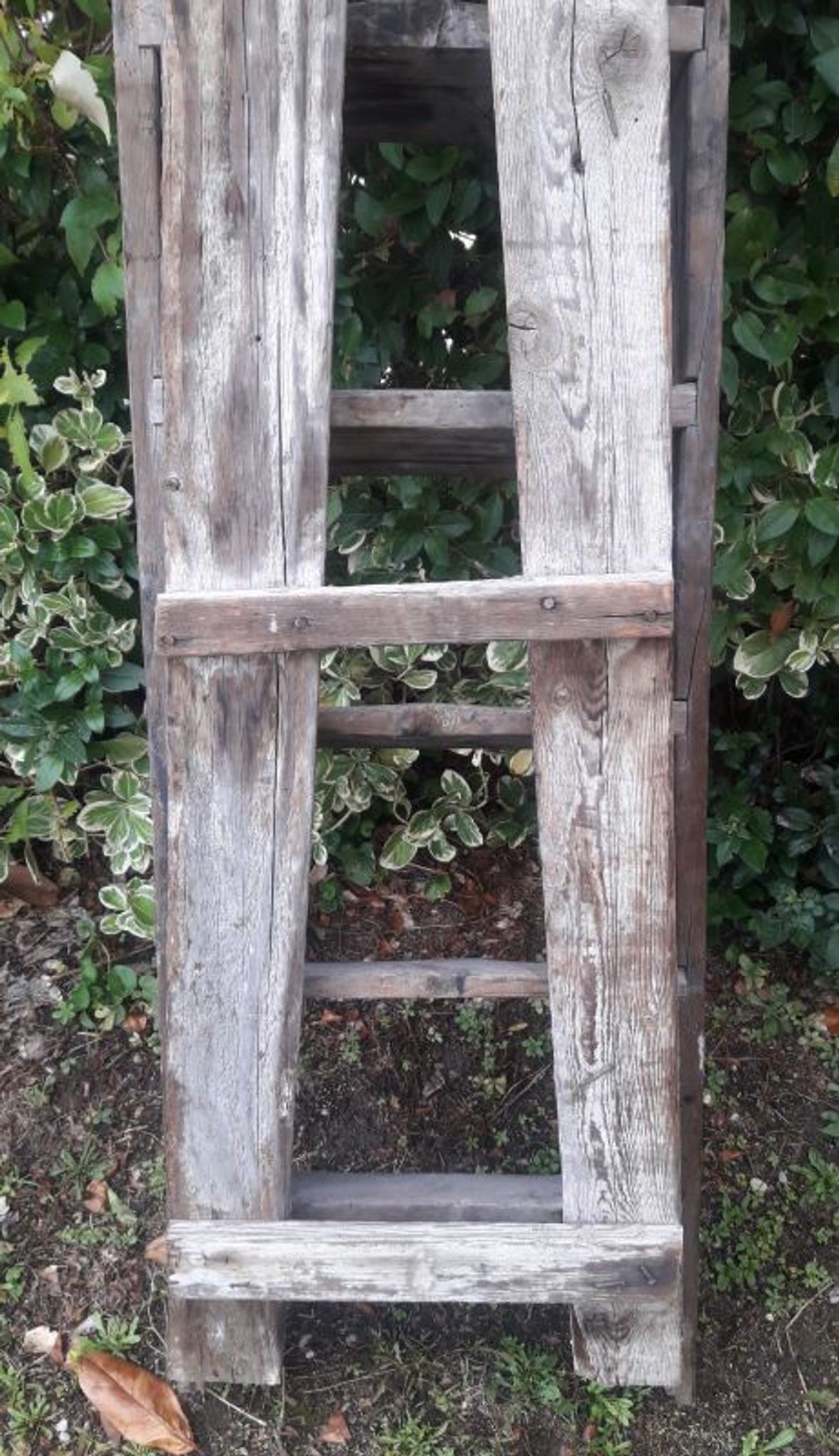 Artisan wooden ladder 6 steps