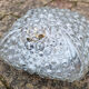 Plafonnier applique "Bubble" Héléna Tynell années 60