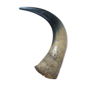 Ancient horn
