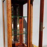 Curiosity cabinet showcase 1900