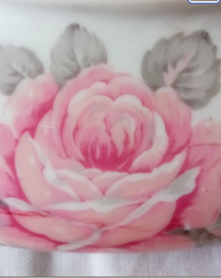 Signed CB France Delicate vegetable with floral motif 'Les Roses '