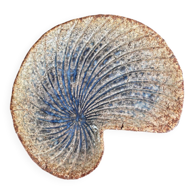 Plat coquillage pièce unique
