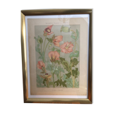 Botanical plate