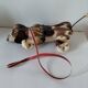 Fisher Price Snoopy wooden pull-along dog