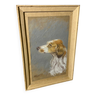 Dessin aquarelle « portrait de chien »
