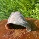 Large seashell: Placuna