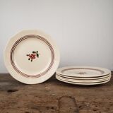 Flat plates - Sarreguemines, model Armelle