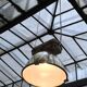 Suspension industrial aluminum