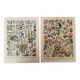 Set of 2 lithographs on XXth flowers