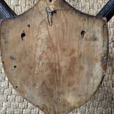 Deer hunting trophy
