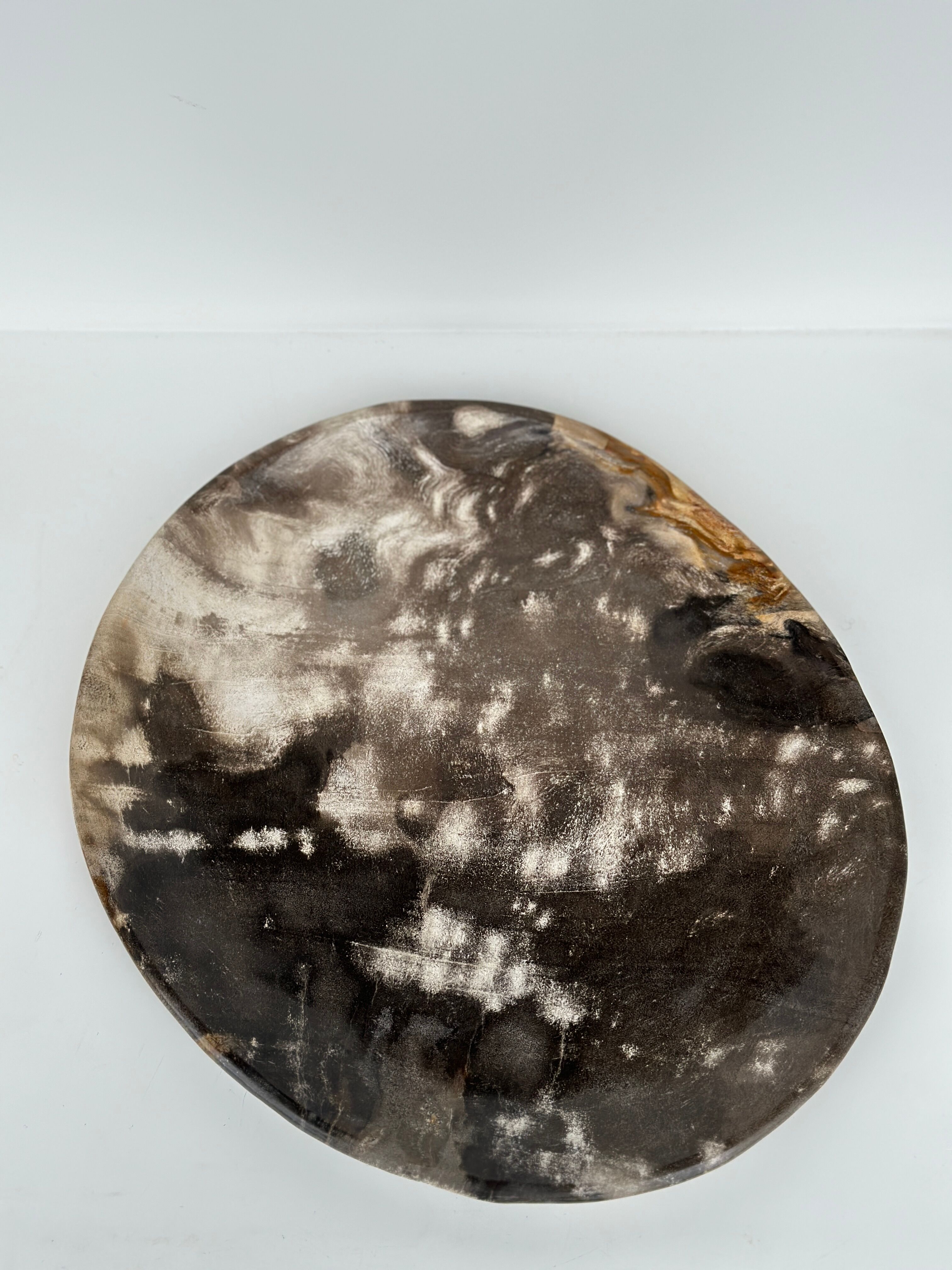 Dish in petrified wood